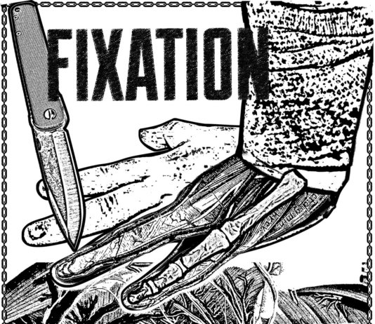 Fixation – Into The Pain ::: Review (2019)