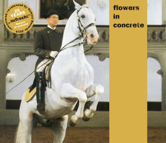 Flowers In Concrete – Aufrecht ::: Review (1999/2019)