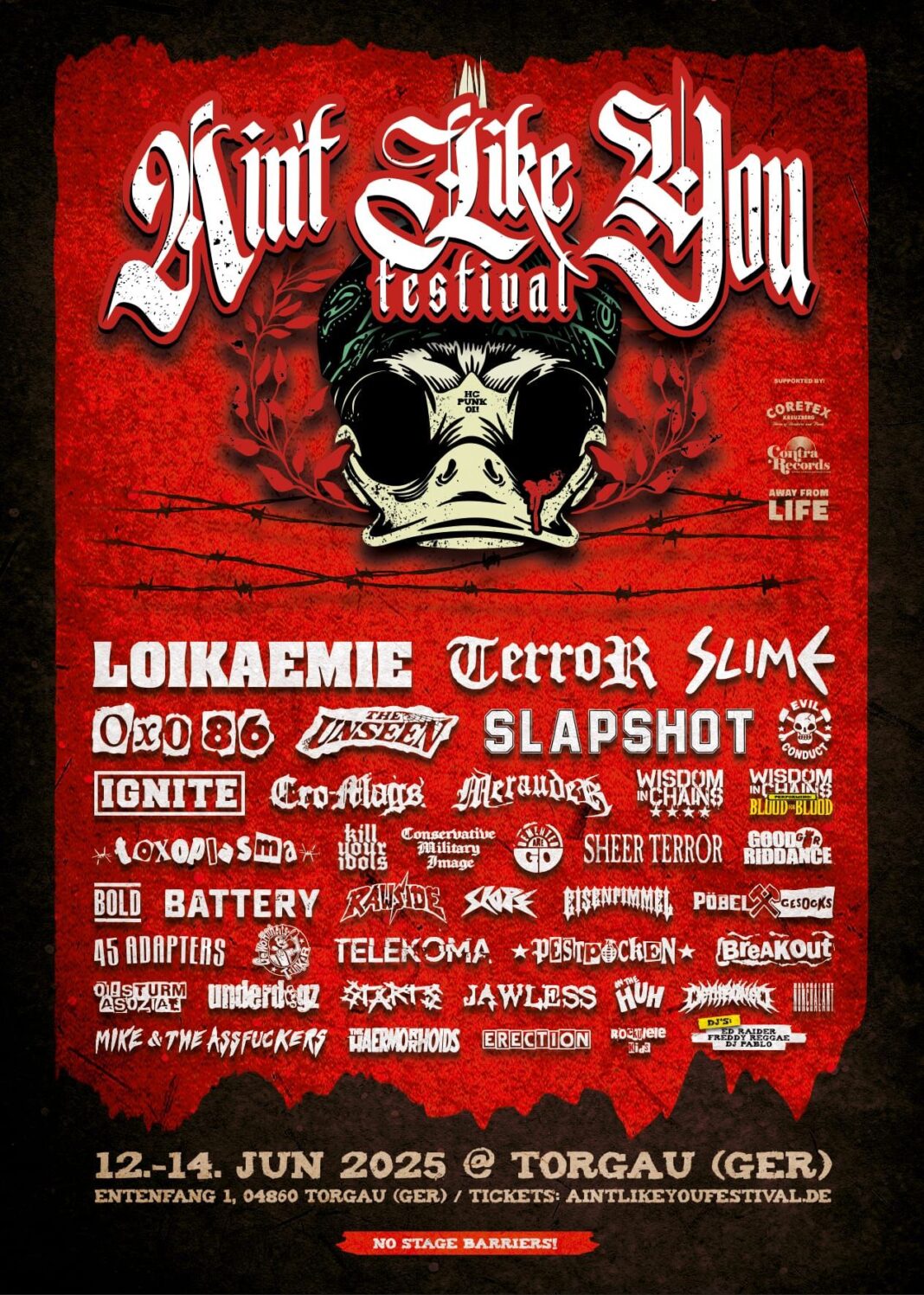  Foto zu Ain't Like You Festival 2025: Das finale Line-Up für Torgau - AWAY FROM 