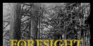Foresight - In Search Of Understanding (2022)