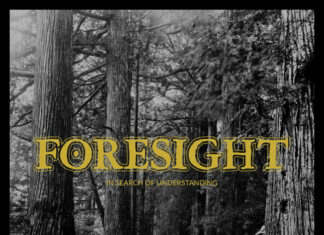Foresight - In Search Of Understanding (2022)
