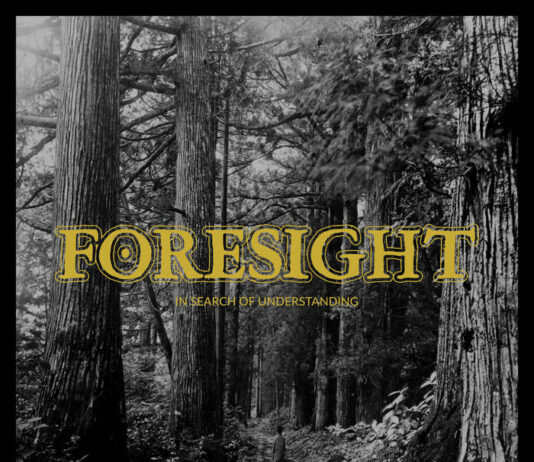 Foresight – In Search Of Understanding ::: Review (2022) Foresight - In Search Of Understanding (2022)