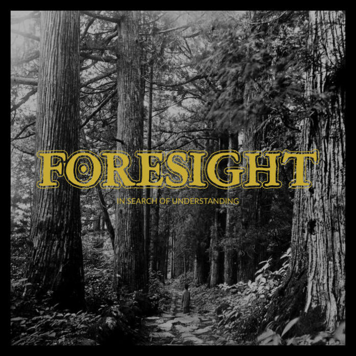 Foresight - In Search Of Understanding (2022)