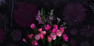 Fox & Badger – Inner Bloom EP ::: Review (2025)