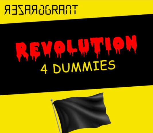 Grazer Grant - Revolution 4 Dummies (2024)