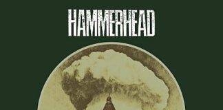 Hammerhead - Nachdenken über Deutschland (2024)