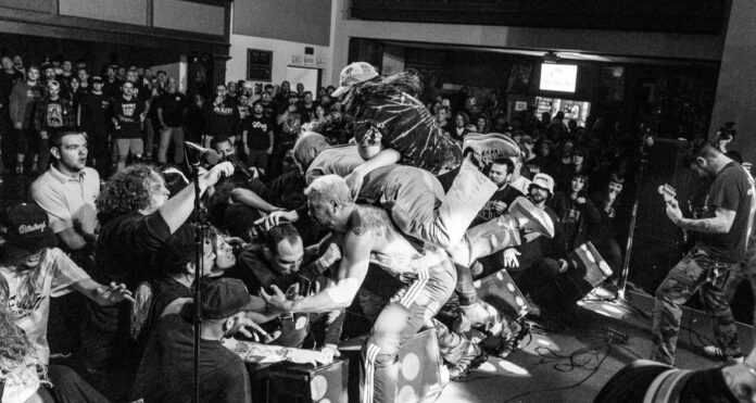 Haywire (Photo by Dan Dunn)