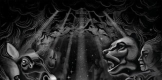 Tarsius Tarsier / Herïda – Split 12″ (2019)