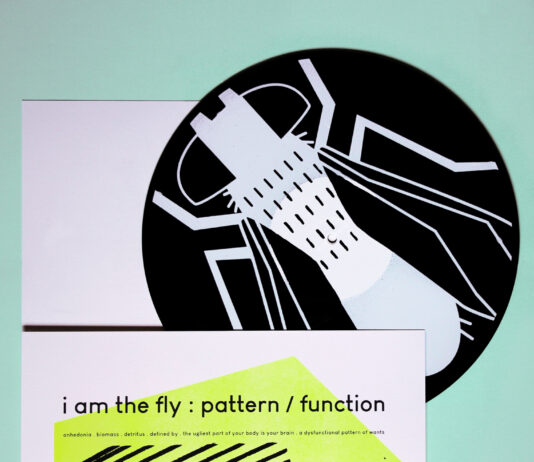 I Am The Fly – Pattern/Function ::: Review (2022) I Am The Fly – Pattern/Function (2022)