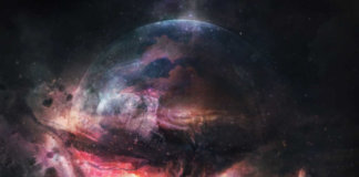 I am Noah - Final Breed