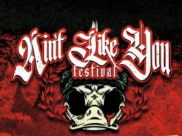 Ain't Like You Festival 2026