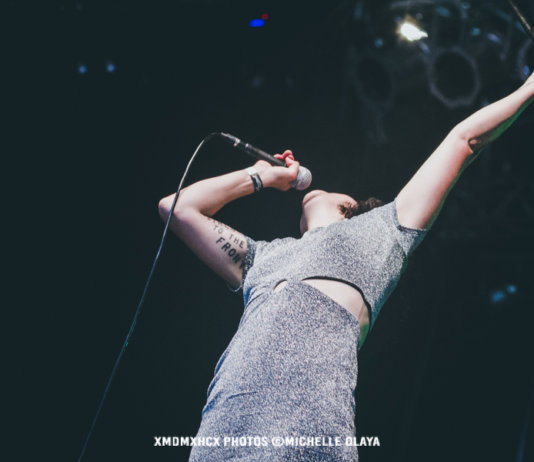 The Baboon Show (Photo by Michelle Olaya)