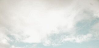 Koyo (2026) Credit: Matt Fevrier