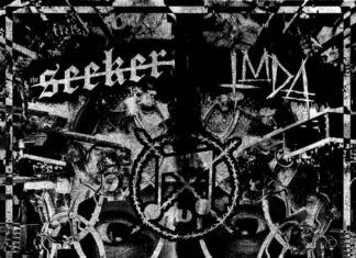 The Seeker - LMDA Split 7' (2021)