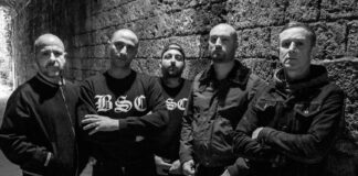 Lion's Law (Photo by Nina Galdino, 2024)