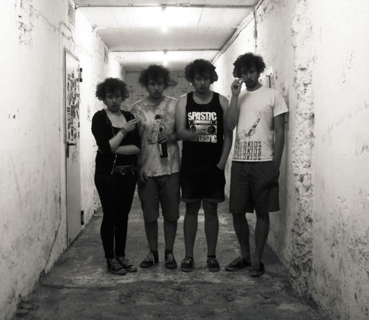 MANN KACKT SICH IN DIE HOSE Split 7″ Zersetzende Elemente