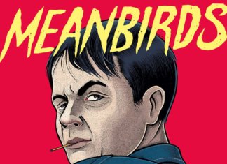 Meanbirds - Confessions Of An Unrest Drama Queen