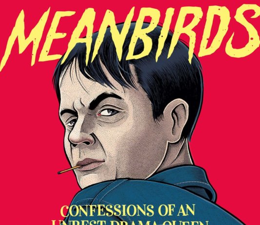 Meanbirds - Confessions Of An Unrest Drama Queen