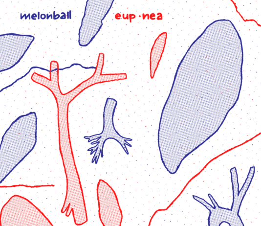 Melonball-eup.nea