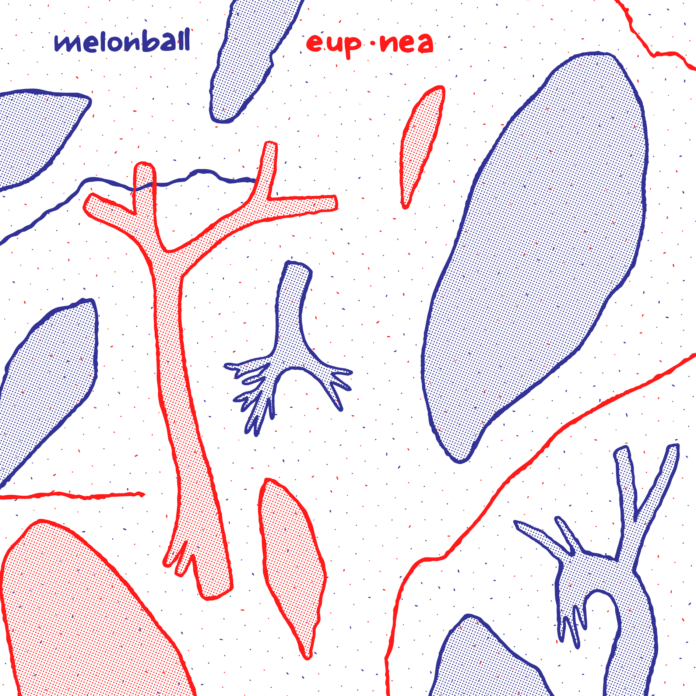 Melonball-eup.nea