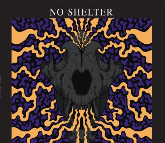 No Shelter - Rest In Death (2020)