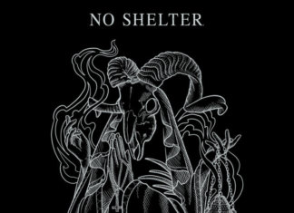 No Shelter - Reign From Above (2018)