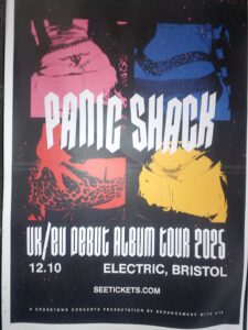 PanicShack-Poster-by-Tobi-R