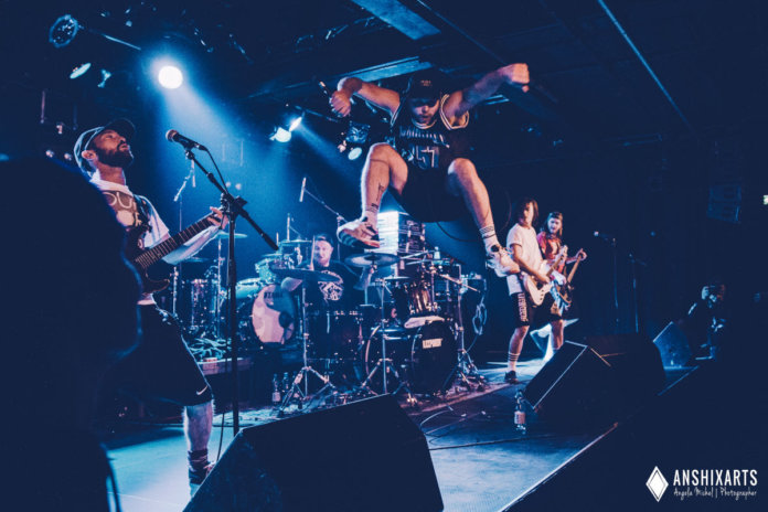 Insanity live (Photocredit Angela Michel)