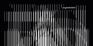 Pogendroblem - Alles was ich noch hab sind meine Kompetenzen (2022)