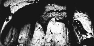 Poison The Well - Peace In Place