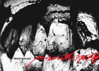 Poison The Well – Peace In Place ::: Review (2026) Poison The Well - Peace In Place