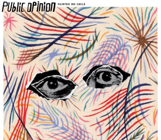 Public-Opinion-Painted-On-Smile-_-Artwork