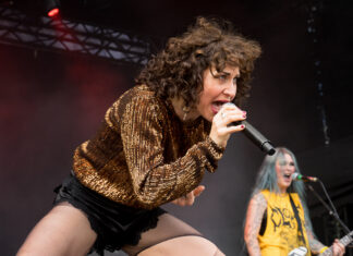 The Baboon Show (Photo by Sven Nöhren)