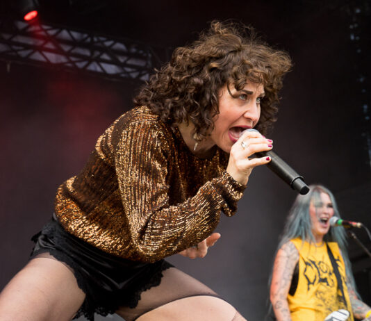 The Baboon Show (Photo by Sven Nöhren)