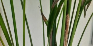 Running Out Of Tape 5