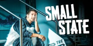 Small State - The Poorly Trained Professionals (2024)