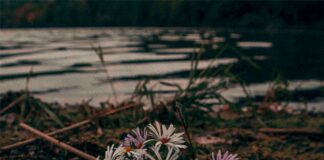 So Much Hope, Buried. – Sentiment (EP)