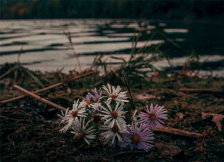 So Much Hope, Buried. – Sentiment (EP)