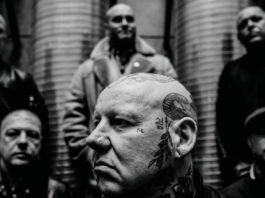 Stomper - Alex, Schatten der Nacht (Cover-Artwork-Ausschnitt)