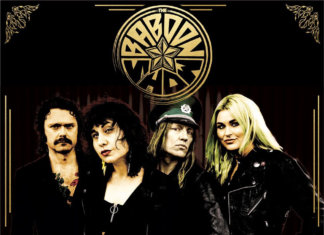 The Baboon Show – I Never Say Goodnight ::: Review (2020) The Baboon Show - I Never Say Goodnight (2020, Artwork)