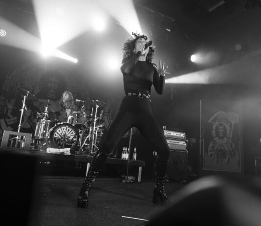 The Baboon Show (Photo by Andreas Langfeld of Visual Attack, provided by Rookie Records)