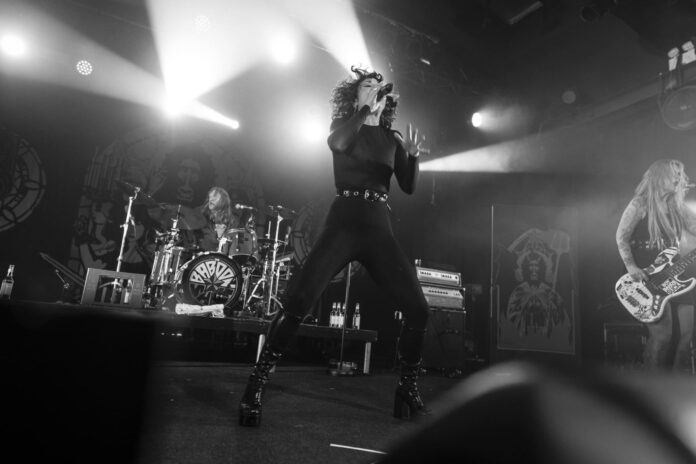 The Baboon Show (Photo by Andreas Langfeld of Visual Attack, provided by Rookie Records)