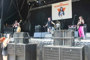 The Bloodstrings Live 2