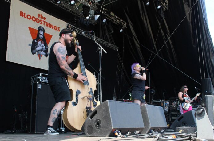 The Bloodstrings Live