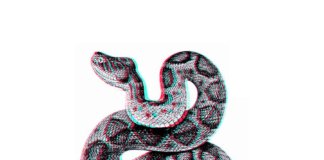 The Casting Out - !!! (2020)