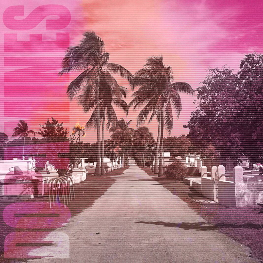 The-Dopamines-80-20-_-Cover