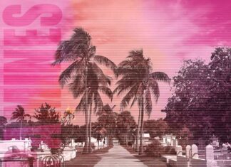 The-Dopamines-80-20-_-Cover