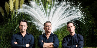 The Peacocks 2017
