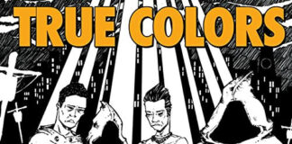 True Colors - Focus On The Light (Cover-Artwork)