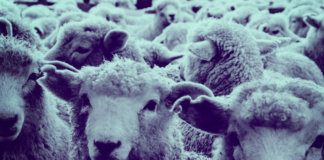 UxB - Westworld Crisis (2020)